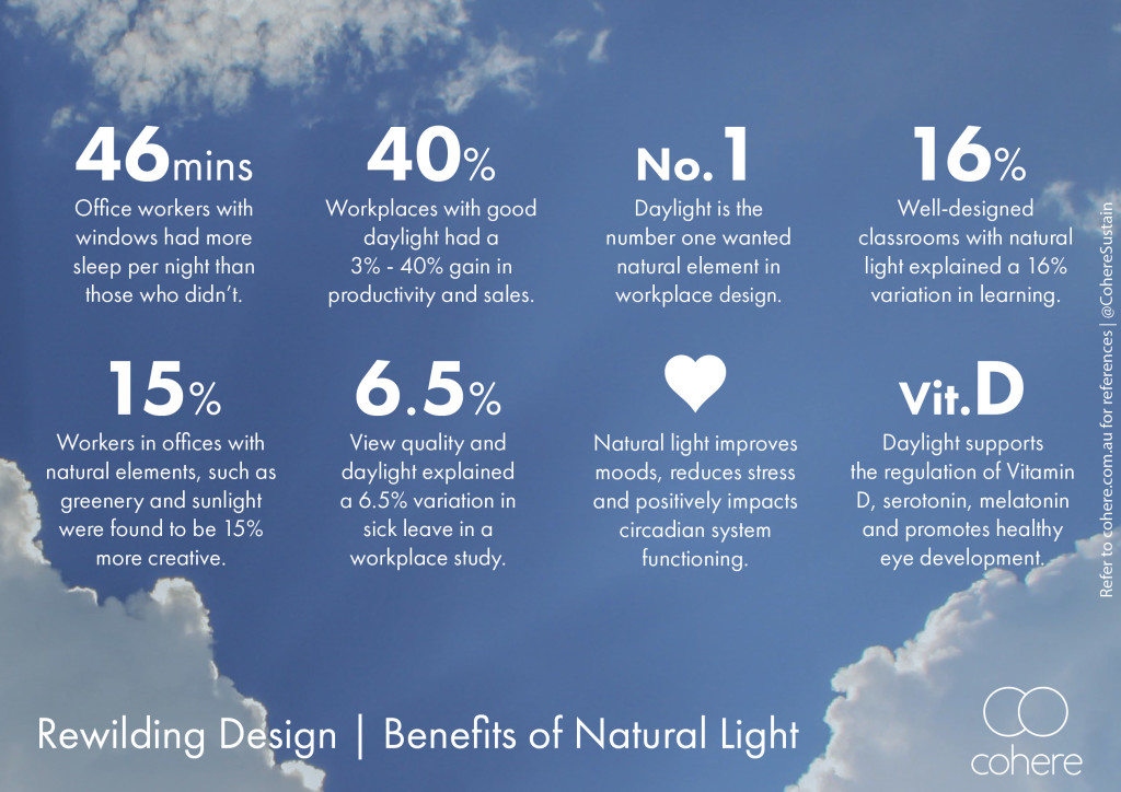 rewilding-design-natural-light